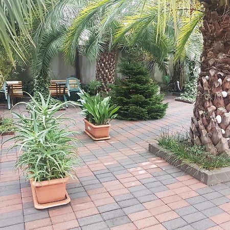 Guesthouse 97 In Batumi 巴统 外观 照片