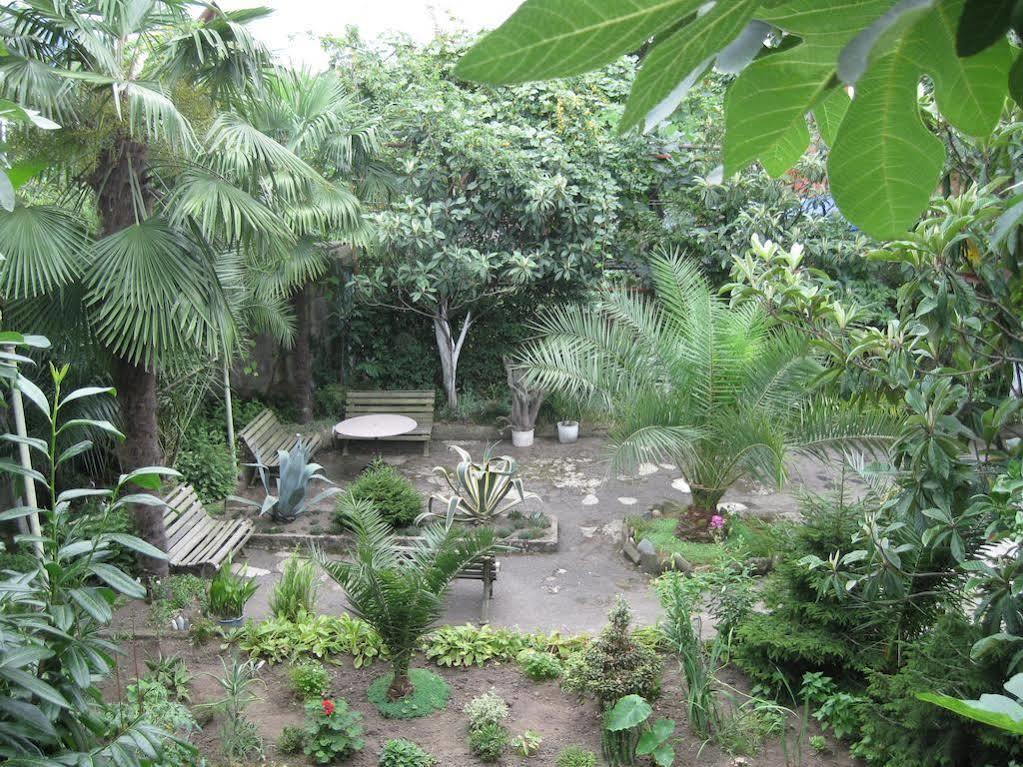 Guesthouse 97 In Batumi 巴统 外观 照片